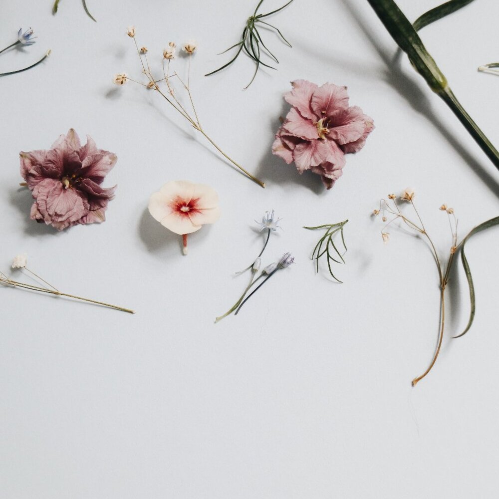 Meet your Posher, Jenny